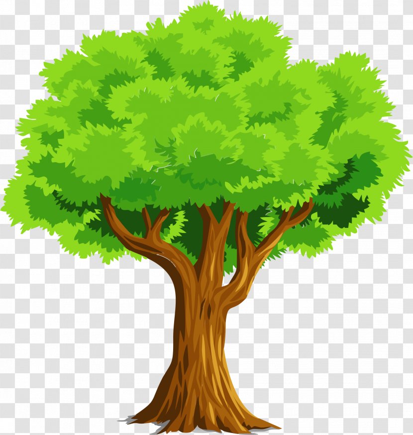 Tree Download Clip Art - Grass - Natural Transparent PNG