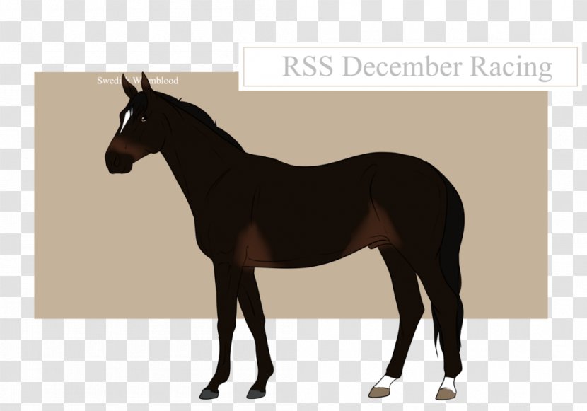 Mule Mustang Stallion Mare Halter Transparent PNG