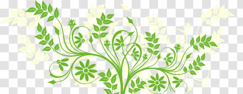 Tree Clip Art - Plant Stem Transparent PNG