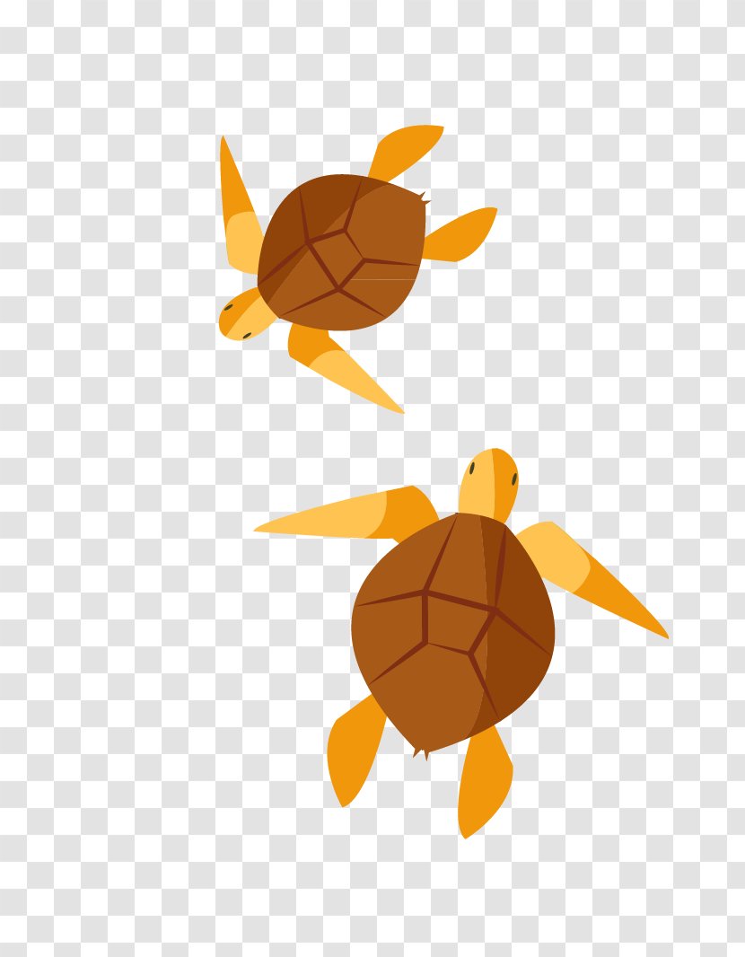 Turtle Clip Art - Tortoise - Vector Painted Transparent PNG