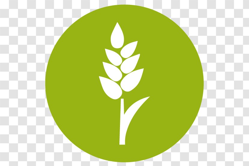Green Leaf Logo - Tree Grass Transparent PNG