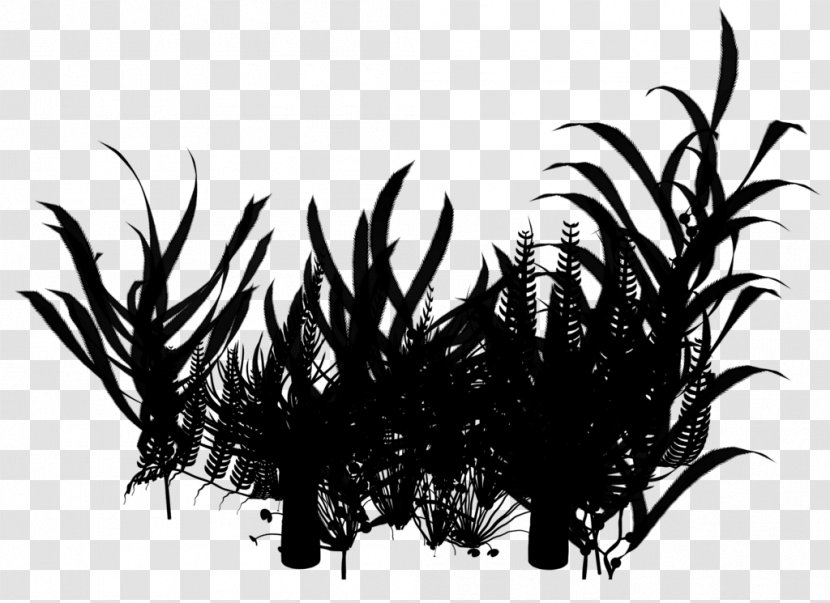 Silhouette Arecales Grasses Branching - Plant Transparent PNG