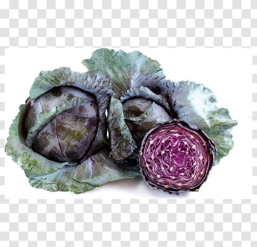 Leaf Vegetable Red Cabbage Organic Food Cauliflower - Purple Transparent PNG