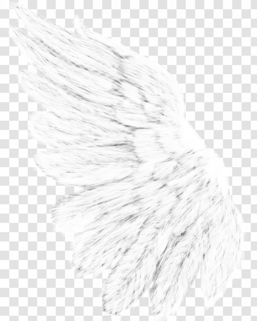 Drawing Monochrome Photography Line Art White - Feather Transparent PNG