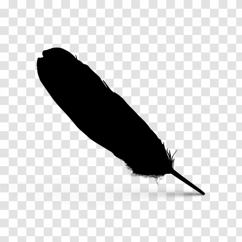 Feather Font Line Beak Black M - Quill - Wing Transparent PNG