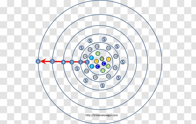 Social Media Network Organization Google+ Empresa - Blog Transparent PNG