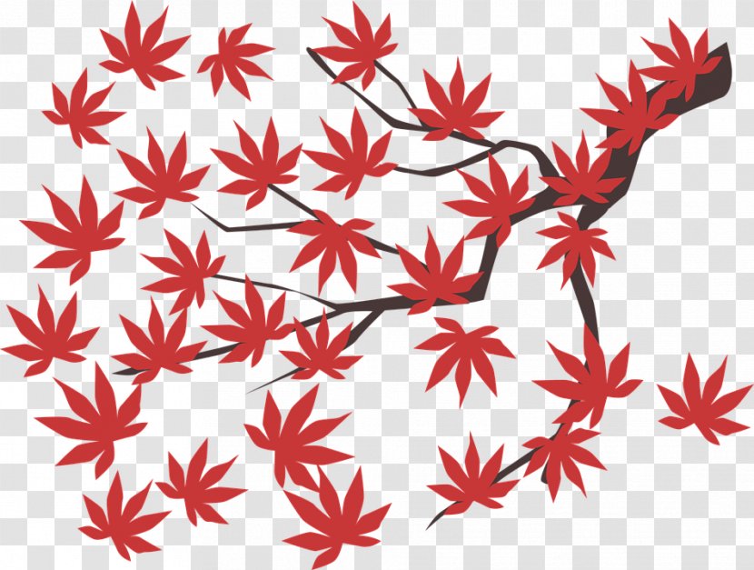 Red Maple Leaf - Flower Petal Transparent PNG