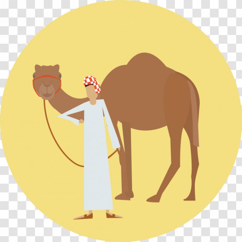 Dromedary Horse Dog Animal - Camel Racing Transparent PNG