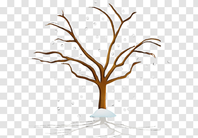 Tree Branch Leaf Twig Woody Plant Transparent PNG
