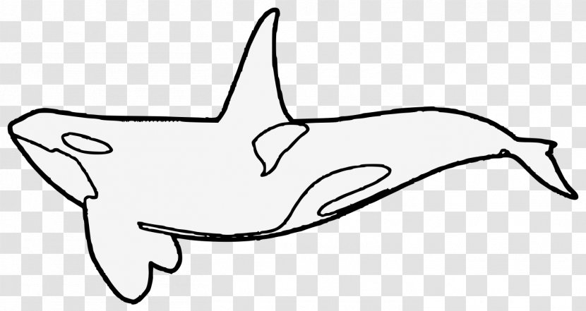 Dolphin Clip Art Killer Whale Whales JPEG - Shark Transparent PNG
