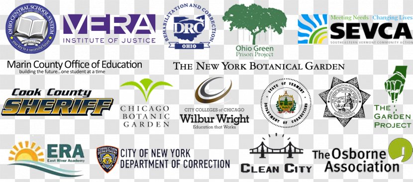 Logo Brand Font Line Vera Institute Of Justice - Advertising - Text Transparent PNG