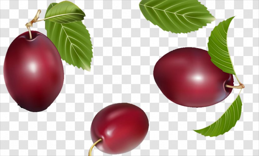 Prunus Salicina Plum Cranberry U674eu5b50 - Natural Foods Transparent PNG