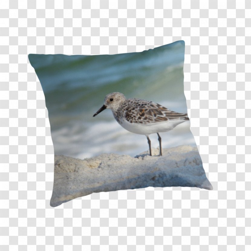 Cushion Beak Throw Pillows Fauna - Pillow Transparent PNG