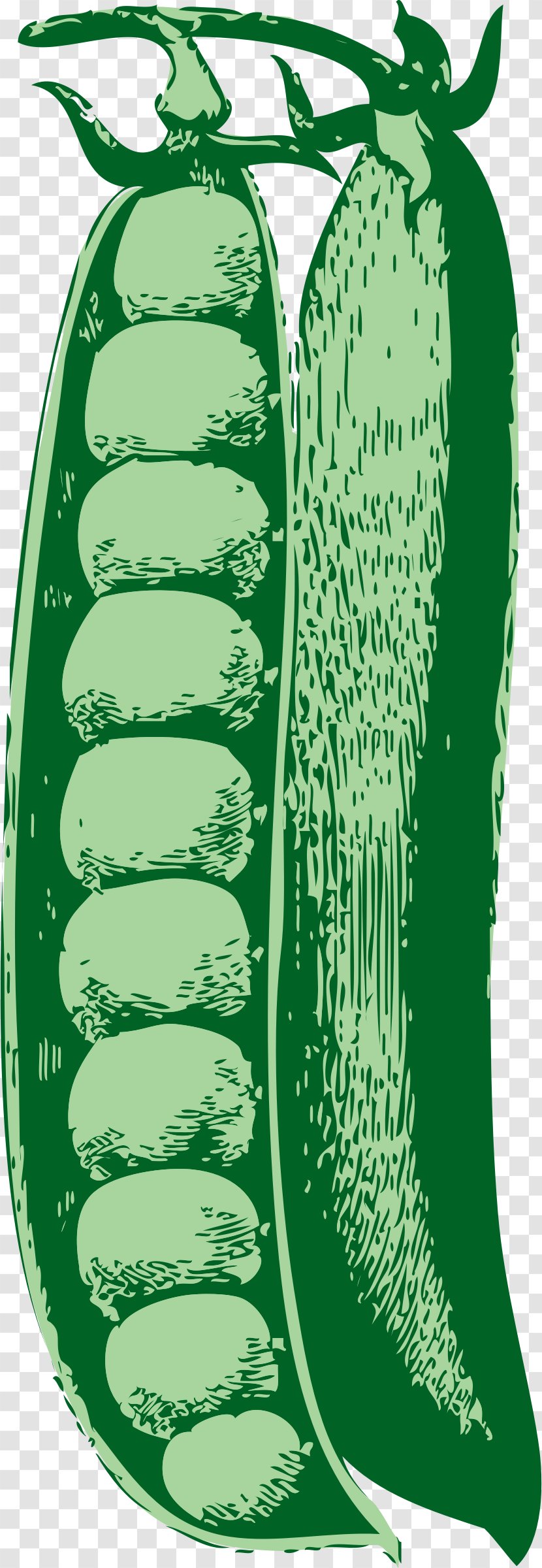 Pea Vegetable Legume Clip Art - Peas Transparent PNG