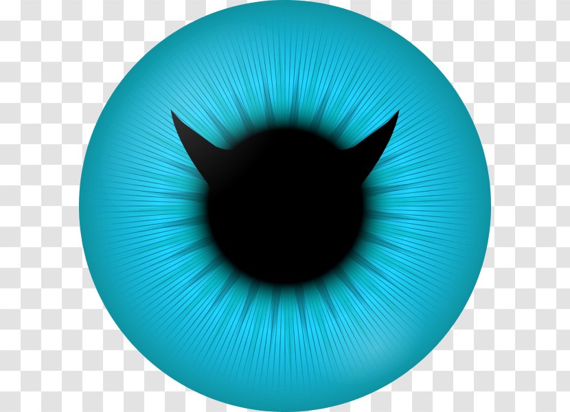 Iris Eye Color Pupil - Flower Transparent PNG