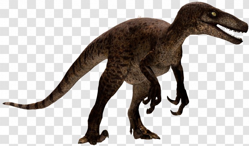 Velociraptor Tyrannosaurus Utahraptor Spinosaurus Dilophosaurus - Jurassic World - Park Transparent PNG