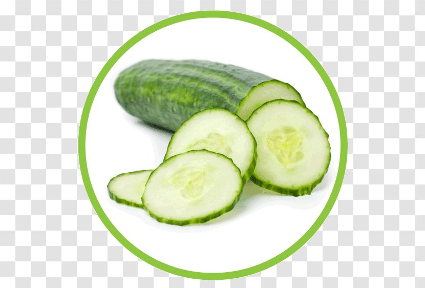 Cucumber Fruit Vegetable Zucchini - Peel Transparent PNG