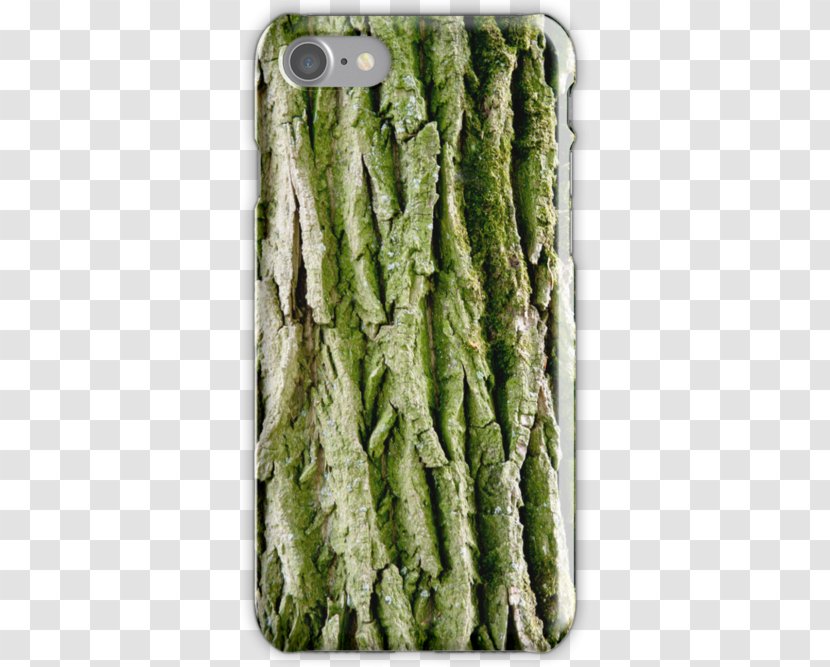 Tree Leaf Vegetable - Grass - Bark Transparent PNG