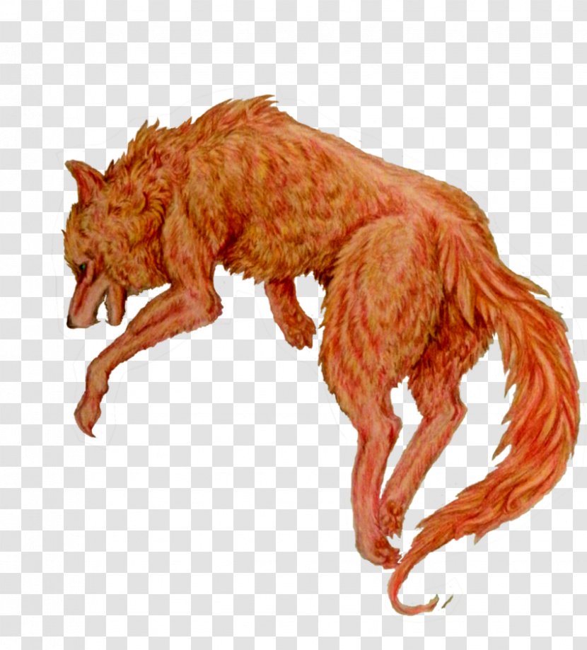 Carnivora Gray Wolf Armadillo Sandslash Red Transparent PNG