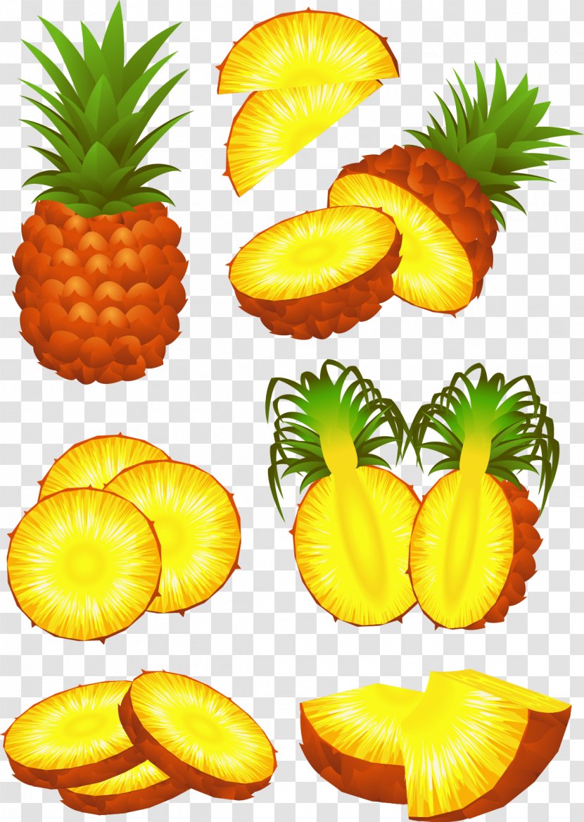 Pineapple Fruit Slice Stock Photography - Royaltyfree - Cartoon Transparent PNG