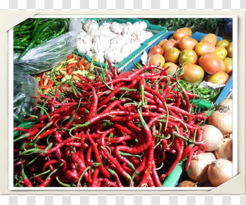 Bird's Eye Chili Capsicum Annuum Var. Acuminatum Pepper Bumbu Food - Spice - Vegetarianism Transparent PNG