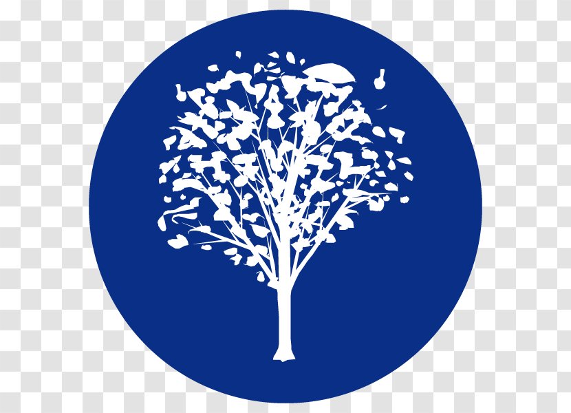 Logo Font Black Leaf Branching - Ash Tree Identification Transparent PNG