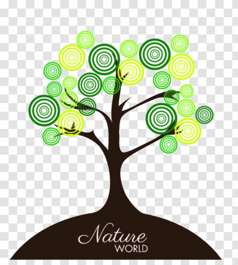Cartoon Tree Drawing - Royalty Free - Trees Transparent PNG