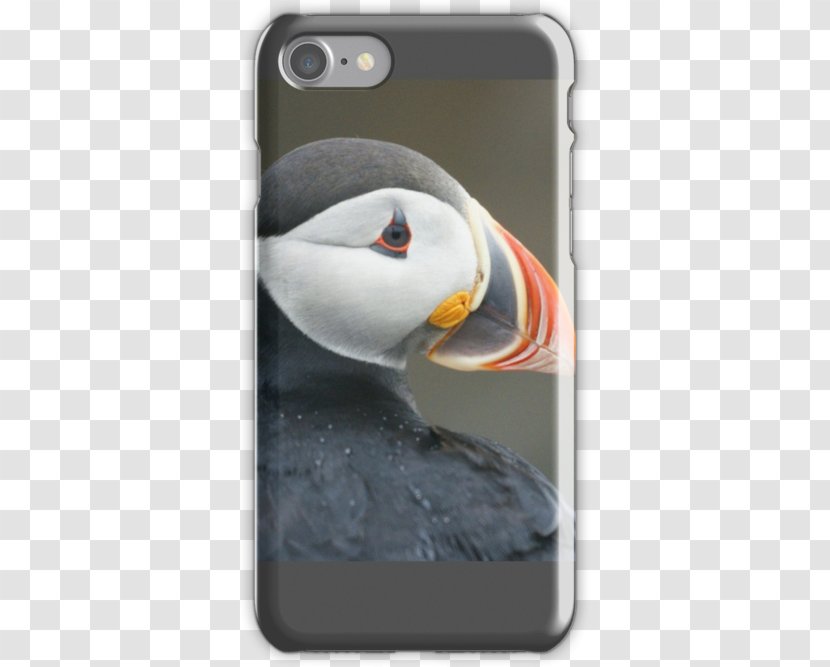 IPhone 4S 7 5s X - Iphone 4s - Puffin Transparent PNG