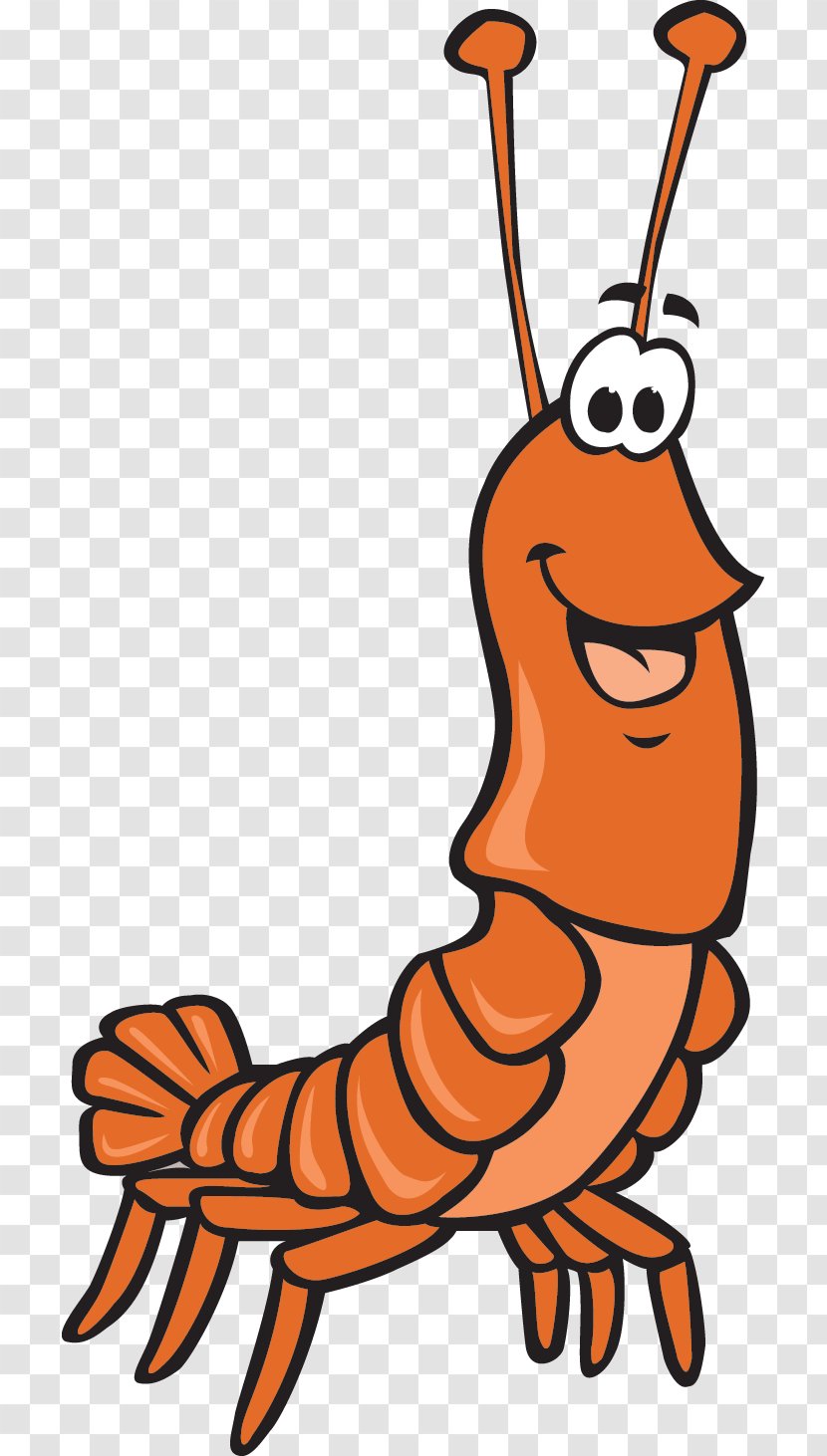 Art Infant Parent - Learning - Shrimps Transparent PNG