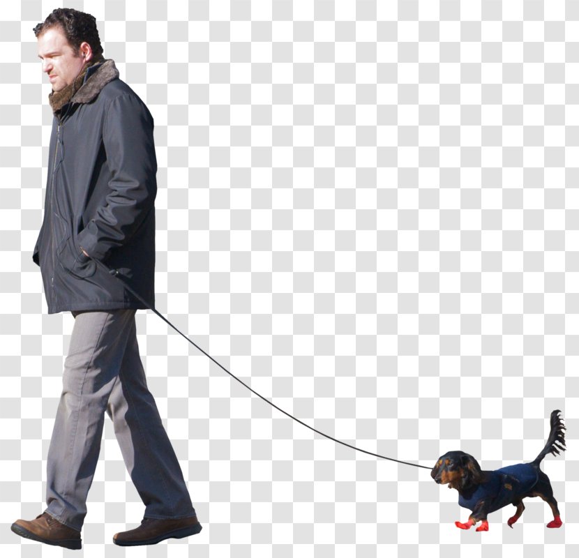 Dog Breed Obedience Training Leash Walking - People With Transparent PNG