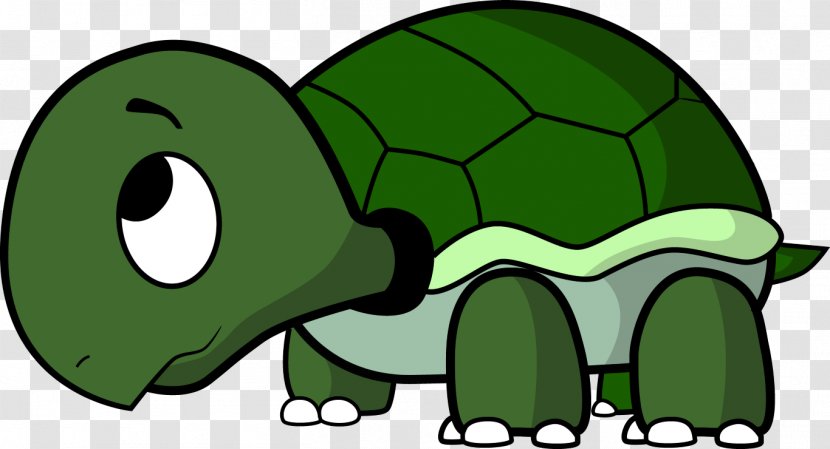 Turtle Cartoon Drawing Clip Art - Fauna Transparent PNG