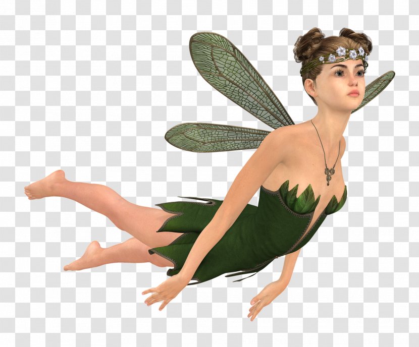 Fairy Elf Elves & Fairies Video Image - Tree Transparent PNG