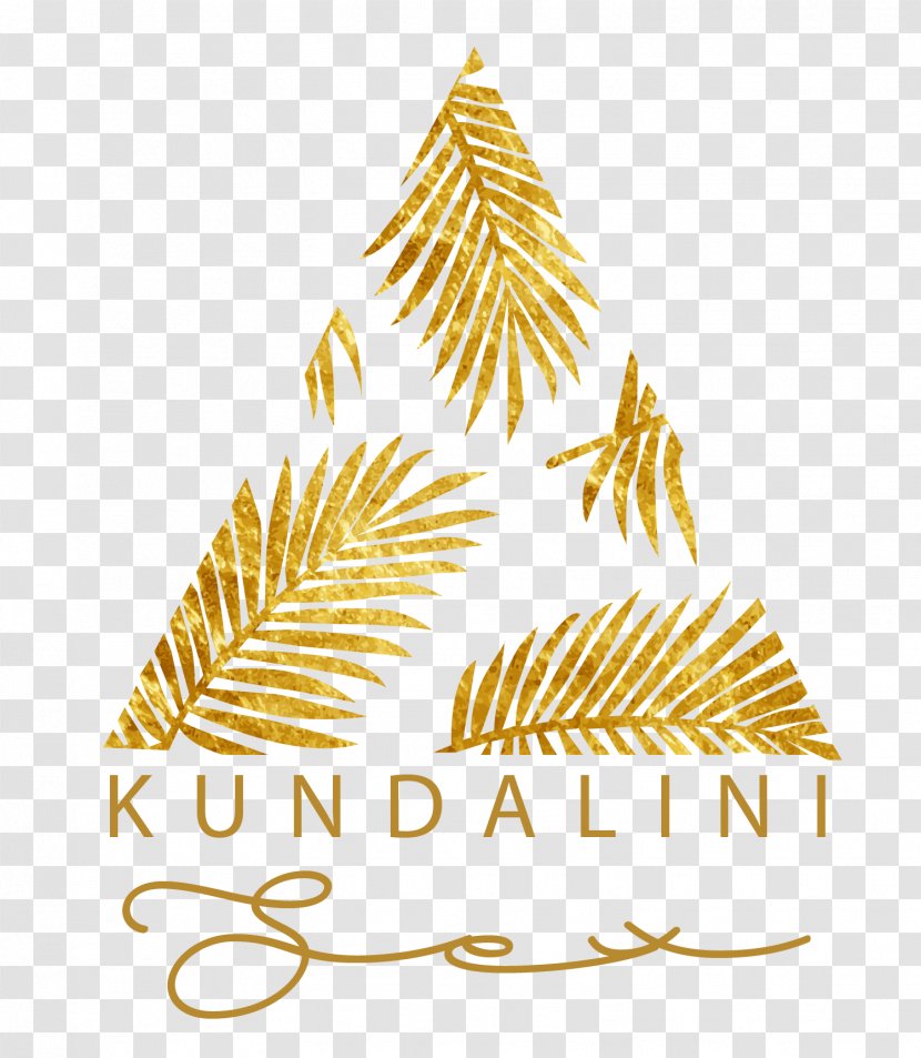 Maui Kihei Engagement Film Wedding - American Larch - Kundalini Silhouette Transparent PNG