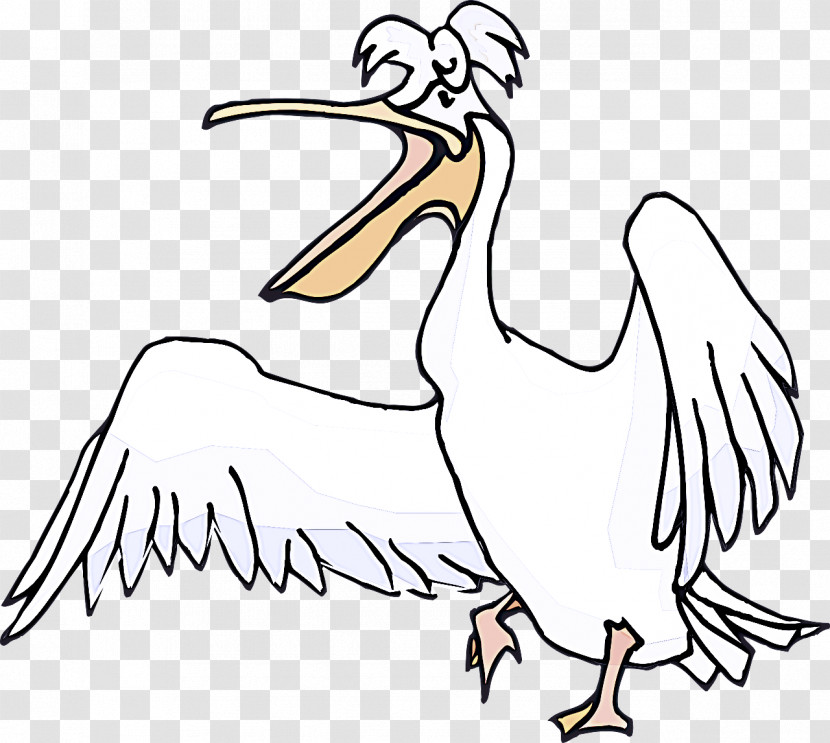 Bird Beak Pelican White Pelican Line Art Transparent PNG