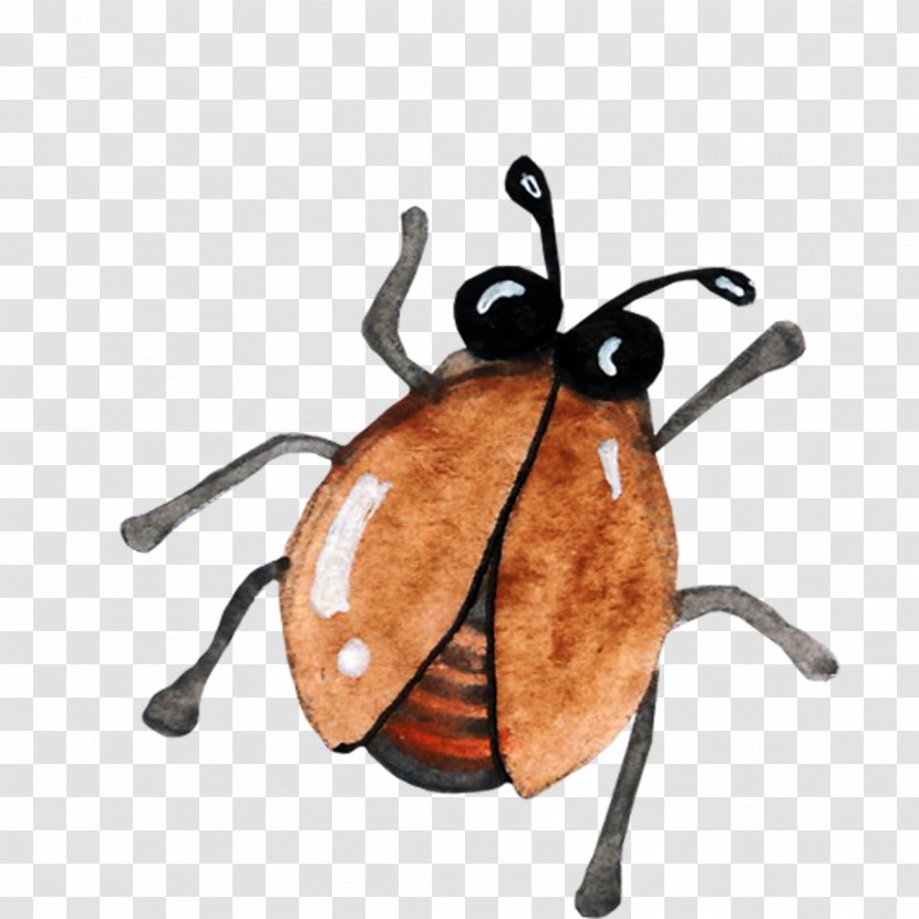 Beetle Download Icon - Insect Transparent PNG