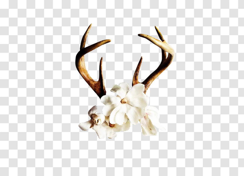 Horn Antler White Head Deer Transparent PNG