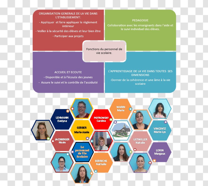 School Education College Learning Organization - Text Transparent PNG
