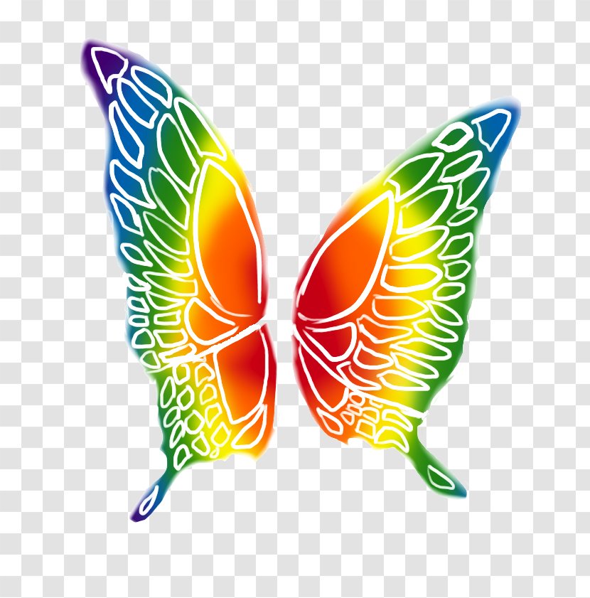 Butterfly Rainbow Rhetus Periander - Invertebrate Transparent PNG