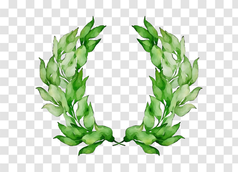 Leaf Plant Grass Flower Vegetarian Food Transparent PNG