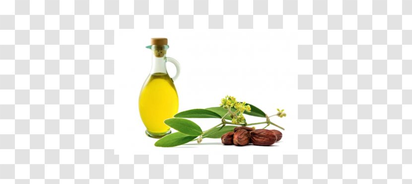 Jojoba Oil Essential Carrier - Coconut Transparent PNG