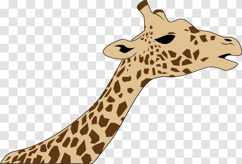 Northern Giraffe West African Clip Art - Snout Transparent PNG