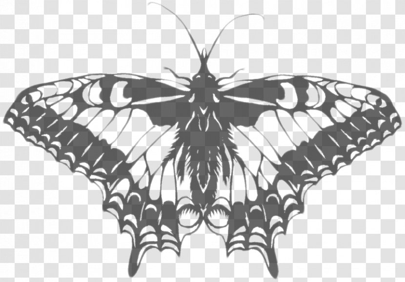 Monarch Butterfly Moth Brush-footed Butterflies Insect - Arthropod Transparent PNG