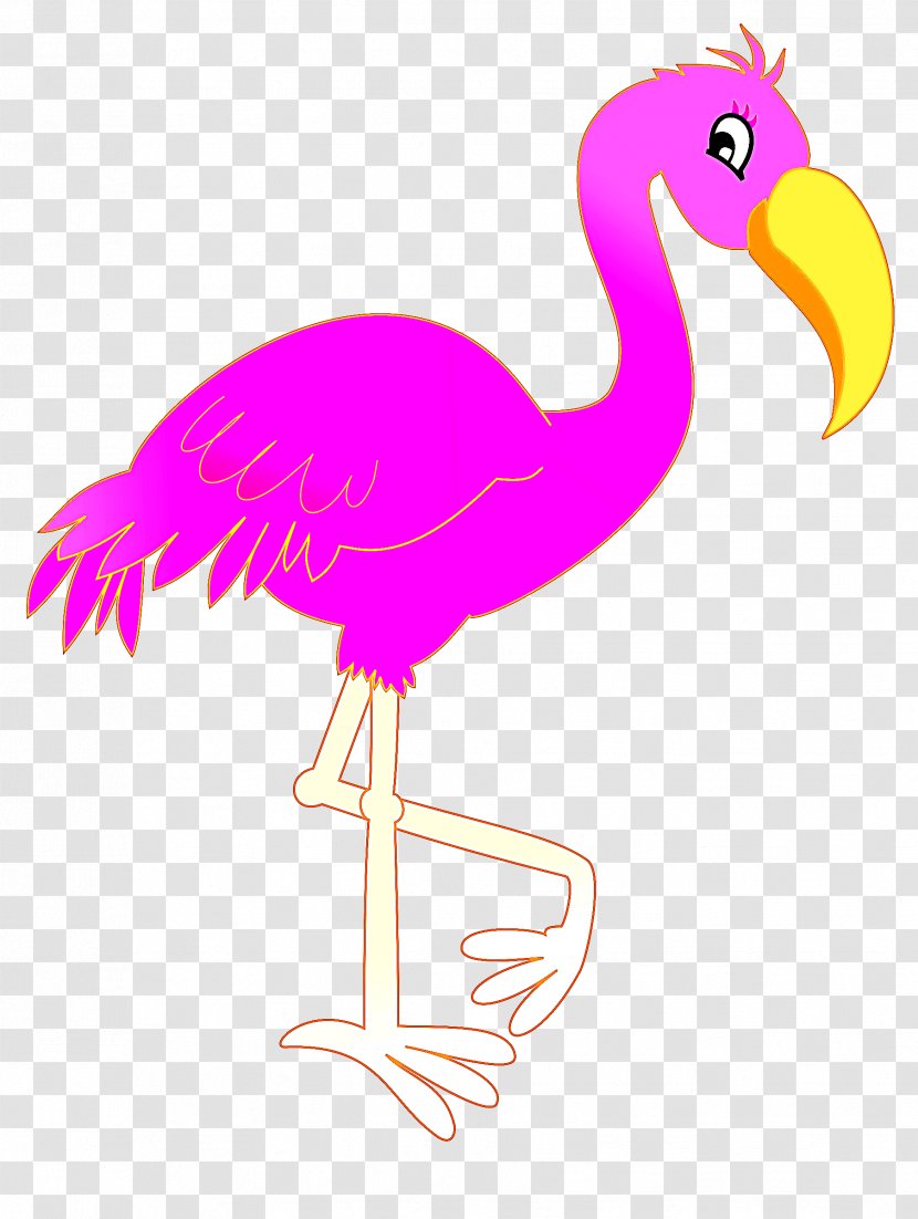 Flamingo - Flightless Bird - Water Transparent PNG