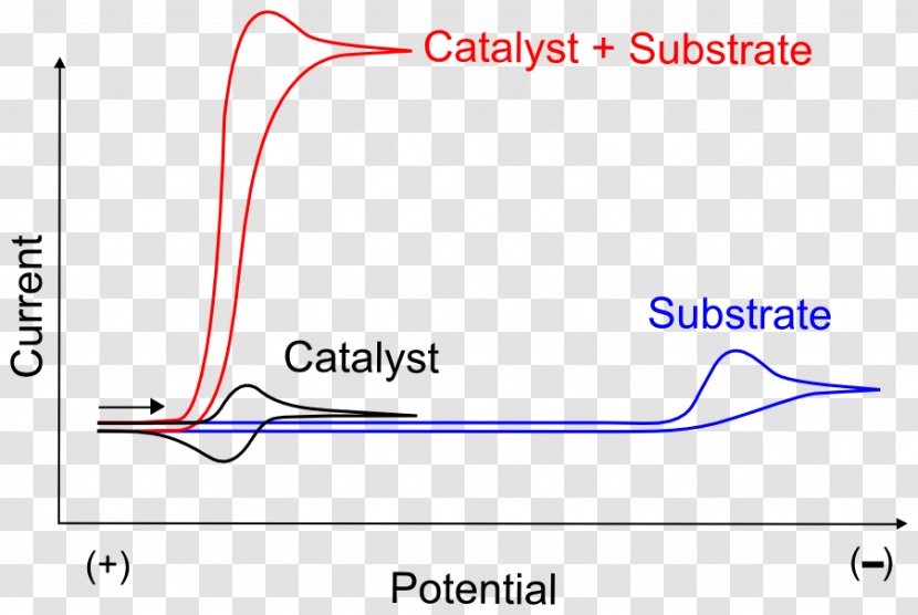 Enzyme Substrate Catalysis Electrocatalyst Graph Of A Function Voltammetry Transparent PNG