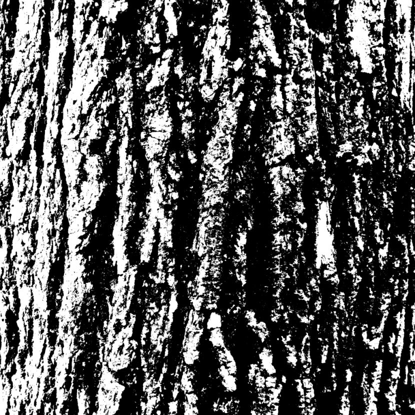 Black And White Tree Branch - Scratches Transparent PNG