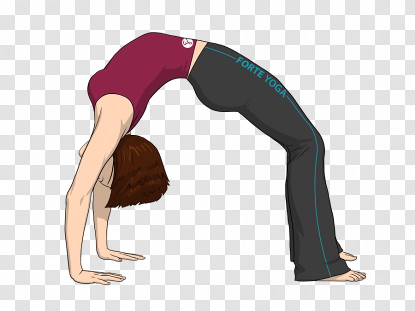 Yoga Dhanurasana Stretching Chakrasana - Hip Transparent PNG
