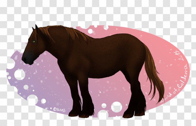 Pony Mustang Mare Stallion Foal - Rein Transparent PNG