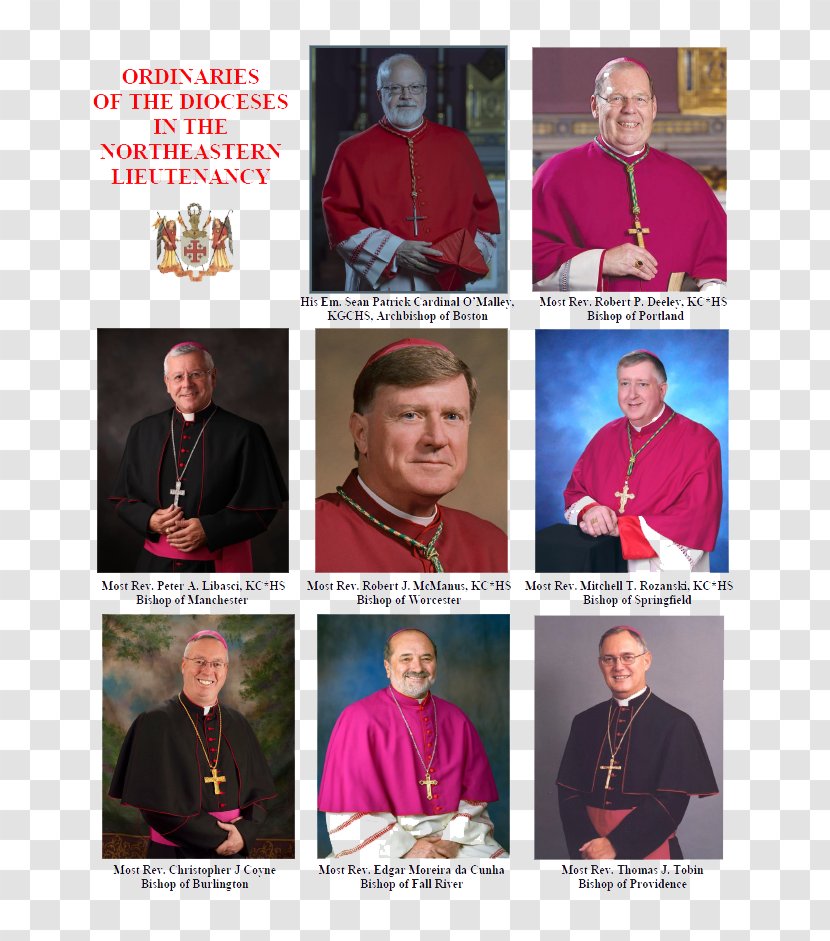 Auxiliary Bishop Prelate Nuncio Pope - Outerwear - Sacrifice Feast Day 3 Transparent PNG