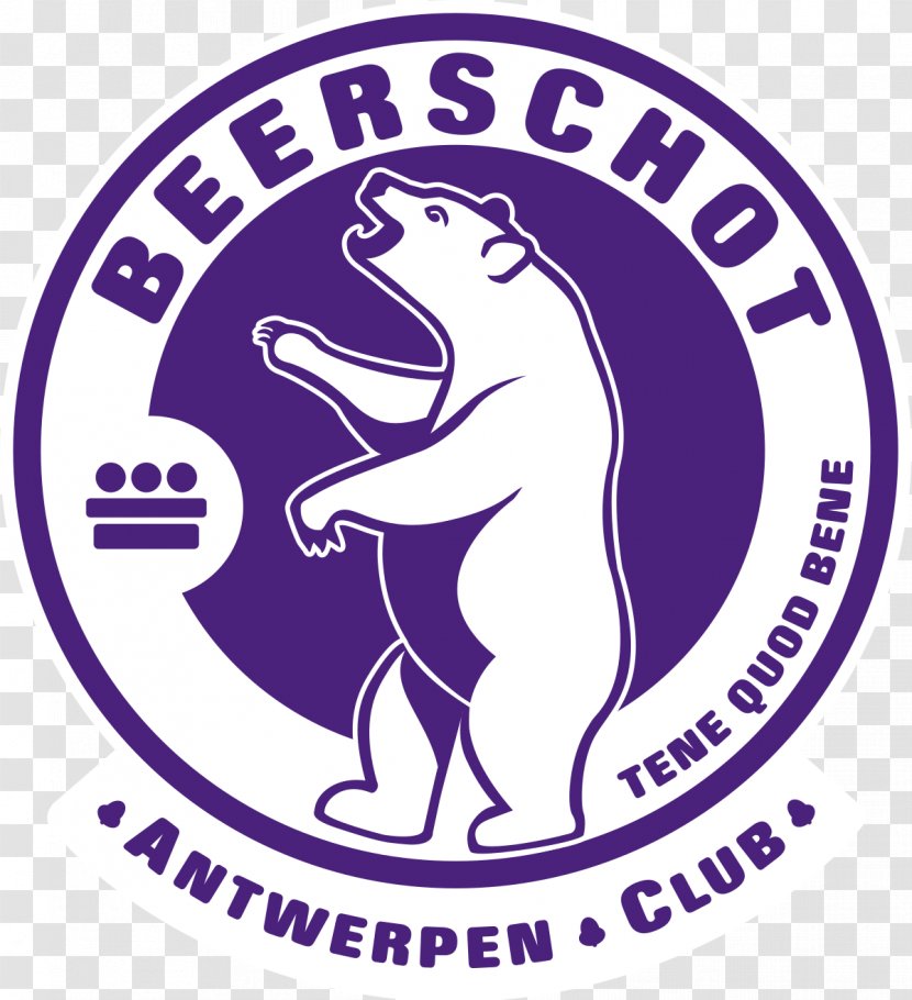 Beerschot A.C. Antwerp KFCO Wilrijk Football Belgian First Division A - Area Transparent PNG
