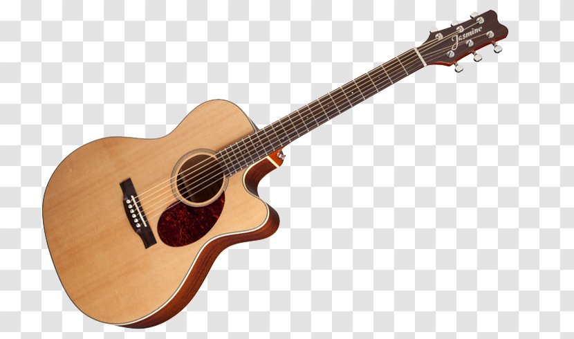 Guitar Amplifier Taylor Guitars Acoustic Jasmine S34C - Tree Transparent PNG